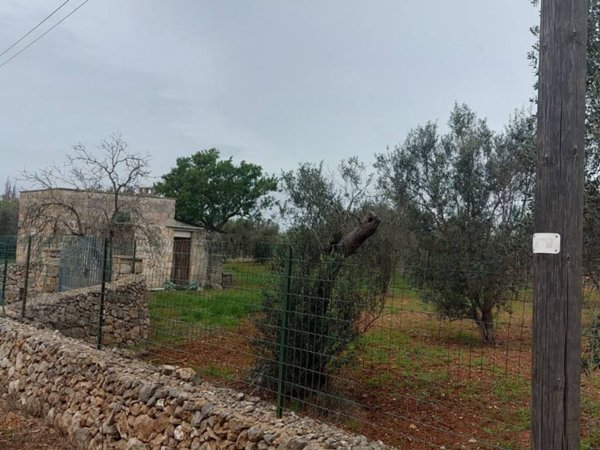 terreno agricolo in vendita a Galatone