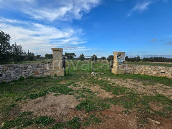 terreno agricolo in vendita a Galatone