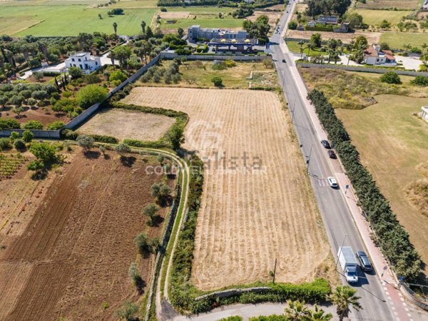 terreno agricolo in vendita a Galatone