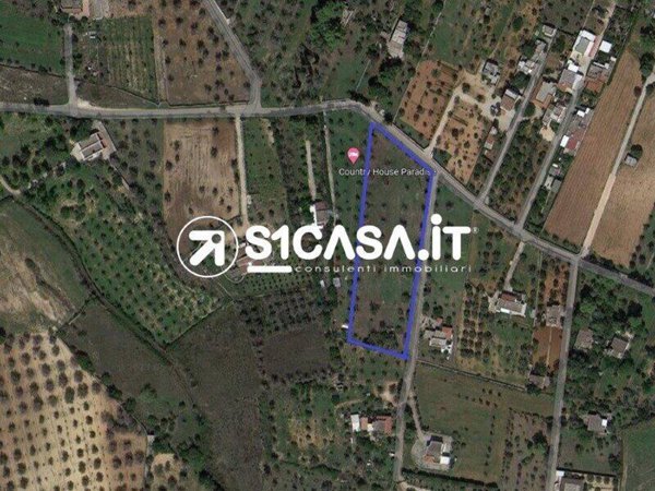 terreno agricolo in vendita a Galatone