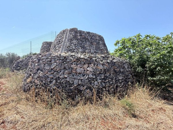 terreno agricolo in vendita a Galatone