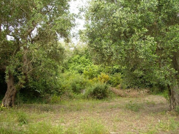 casa indipendente in vendita a Gallipoli