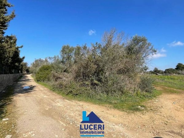 terreno agricolo in vendita a Gallipoli