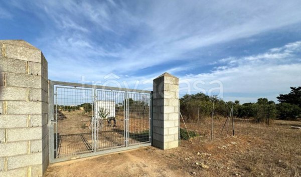 terreno agricolo in vendita a Gallipoli