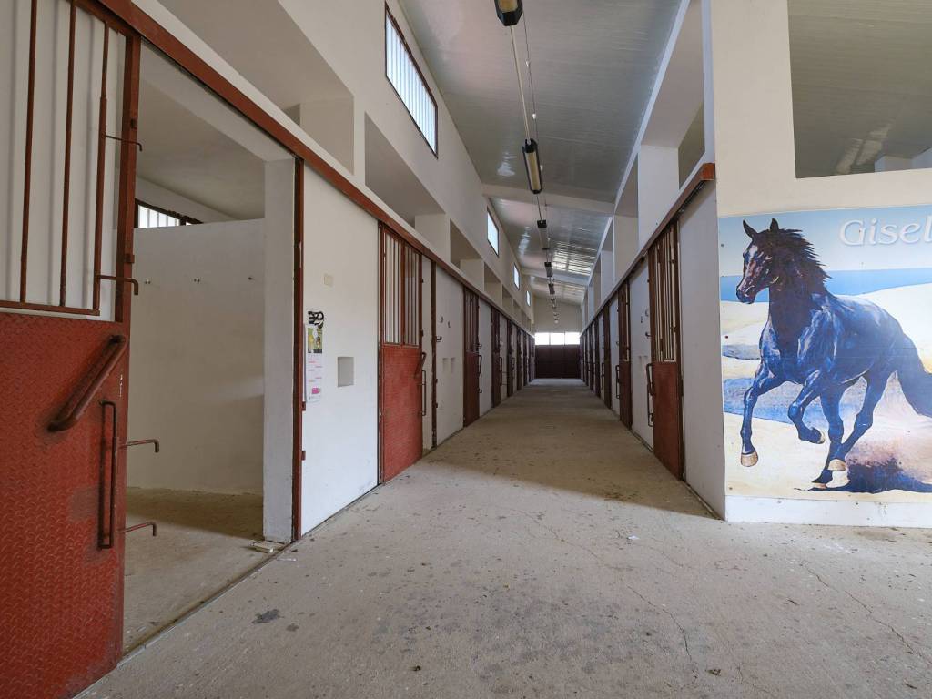 casa indipendente in vendita a Gallipoli