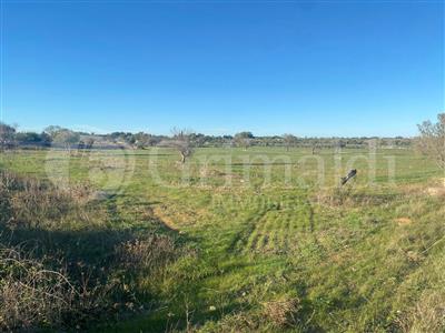 villa in vendita a Gallipoli