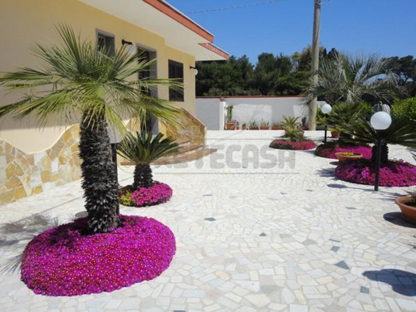 casa indipendente in affitto a Gallipoli