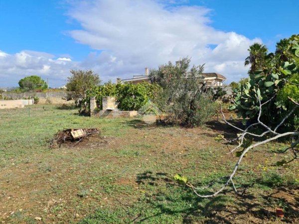 terreno agricolo in vendita a Gallipoli
