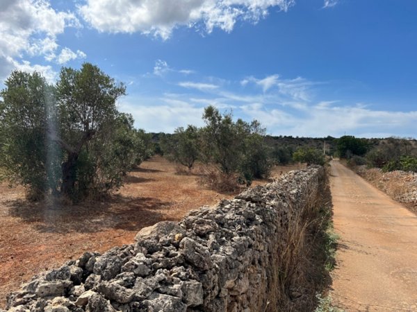 terreno agricolo in vendita a Gallipoli