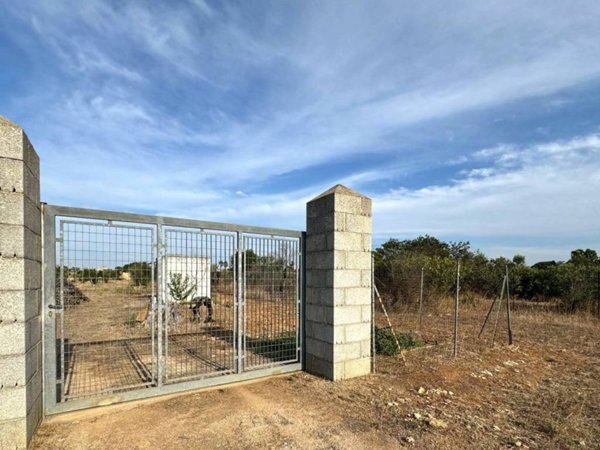 terreno agricolo in vendita a Gallipoli
