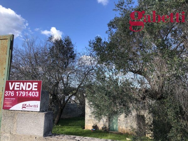 terreno agricolo in vendita a Gallipoli in zona Perez