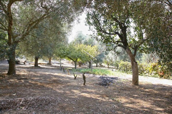 terreno agricolo in vendita a Gallipoli