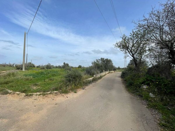 terreno agricolo in vendita a Gallipoli