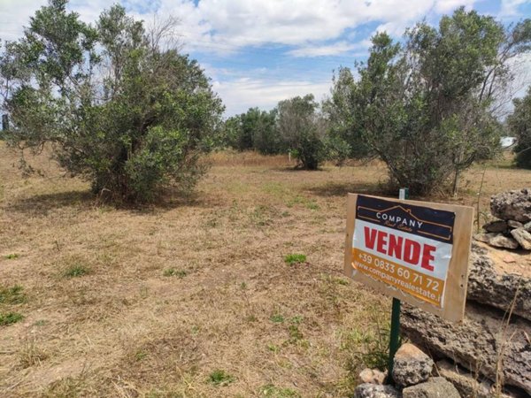 terreno agricolo in vendita a Gallipoli