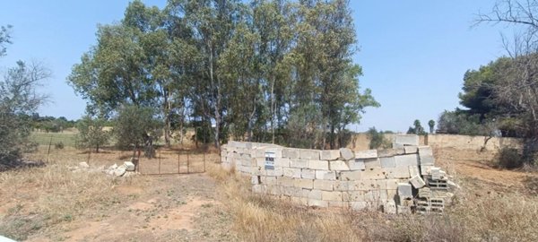 negozio in vendita a Gallipoli
