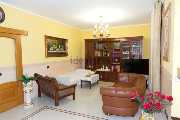 immagine annuncio 0 di 1