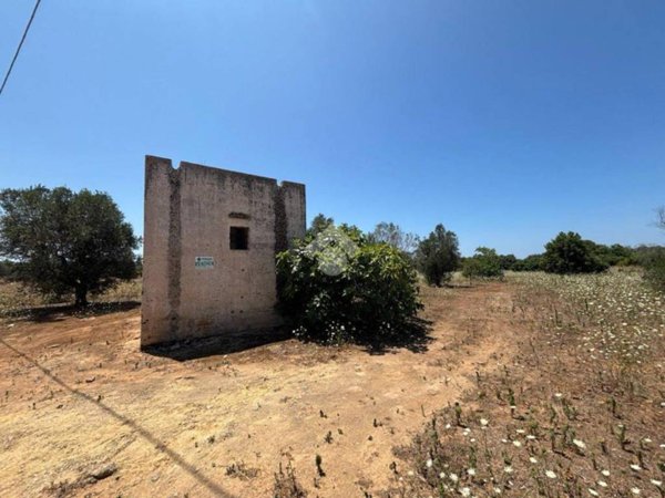 casa indipendente in vendita a Gallipoli