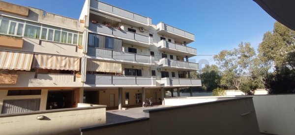 esavano in vendita a Gallipoli