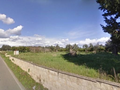terreno agricolo in vendita a Gallipoli in zona Baia Verde