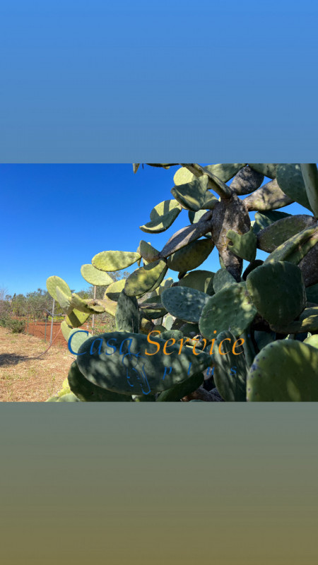 mansarda in vendita a Gallipoli