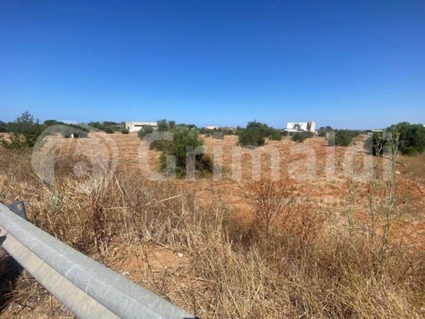 terreno agricolo in vendita a Gallipoli