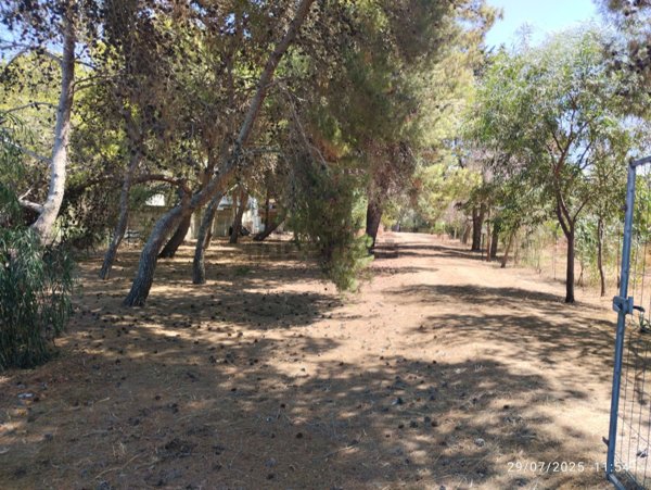 casa indipendente in vendita a Gallipoli in zona Padula Bianca