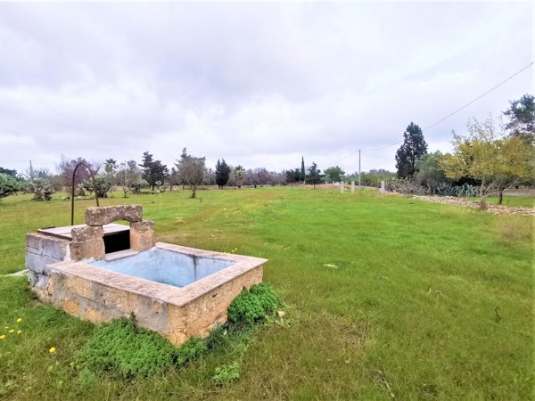 terreno agricolo in vendita a Gallipoli