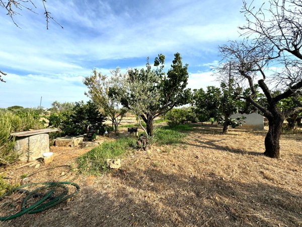 terreno agricolo in vendita a Gallipoli