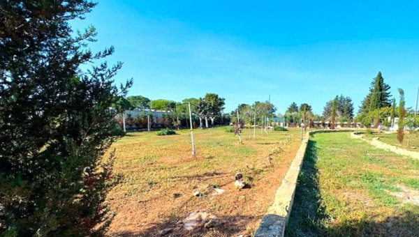 terreno agricolo in vendita a Gallipoli
