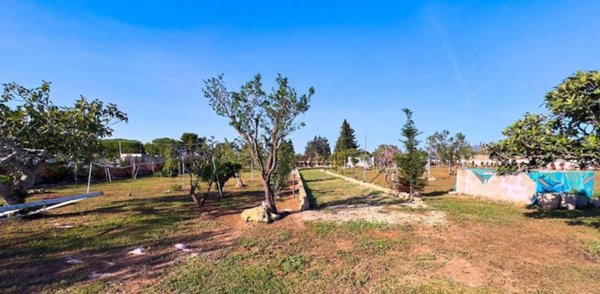 terreno agricolo in vendita a Gallipoli