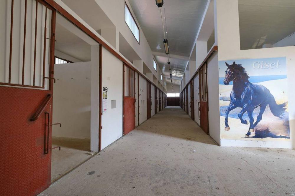 casa indipendente in vendita a Gallipoli