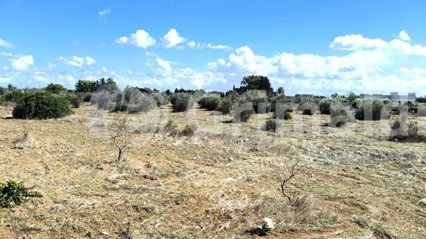 azienda agricola in vendita a Gallipoli