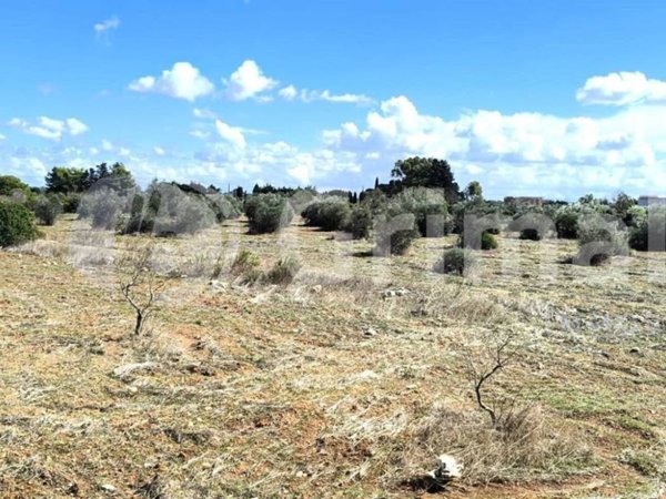 terreno agricolo in vendita a Gallipoli