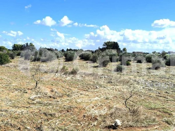 terreno agricolo in vendita a Gallipoli