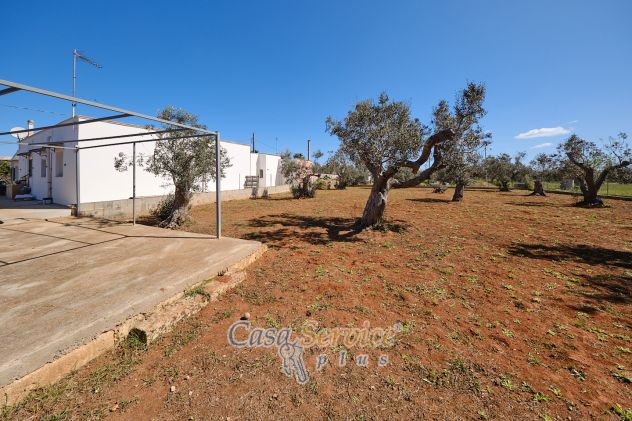 casa indipendente in vendita a Gallipoli