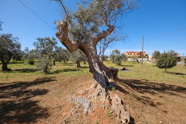 casa indipendente in vendita a Gallipoli