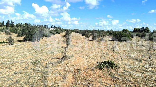 villa in vendita a Gallipoli
