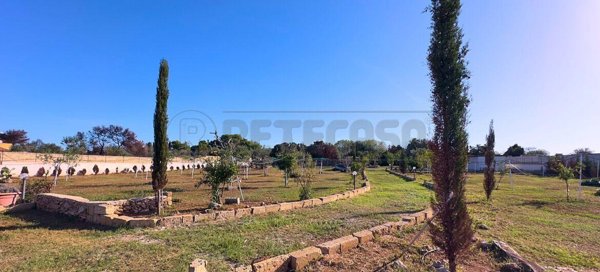 terreno agricolo in vendita a Gallipoli