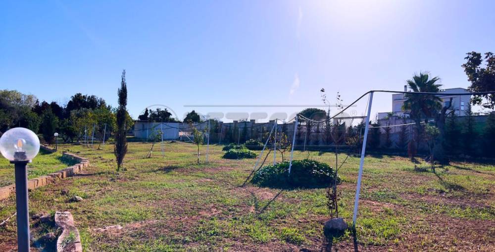 terreno agricolo in vendita a Gallipoli
