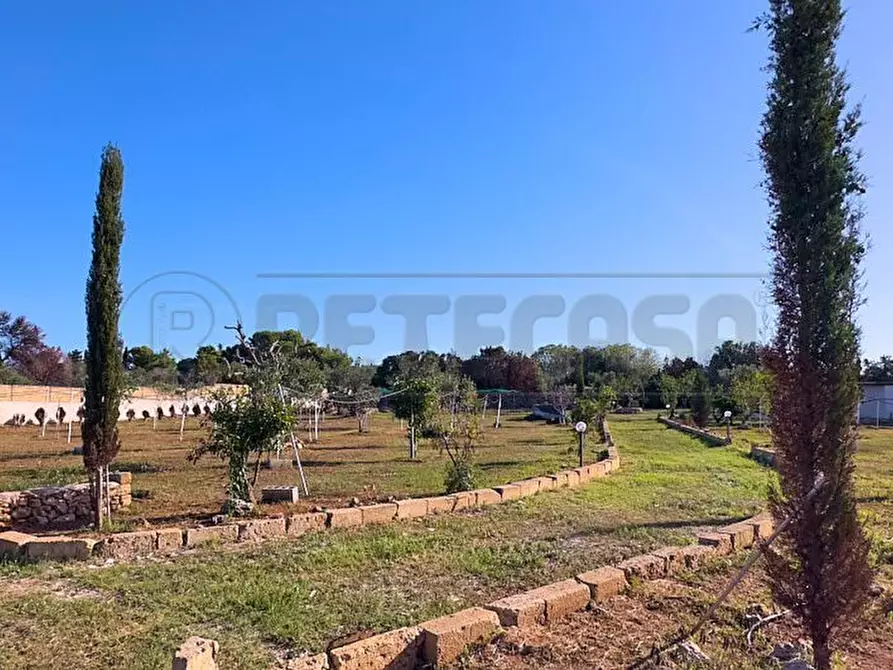 terreno agricolo in vendita a Gallipoli