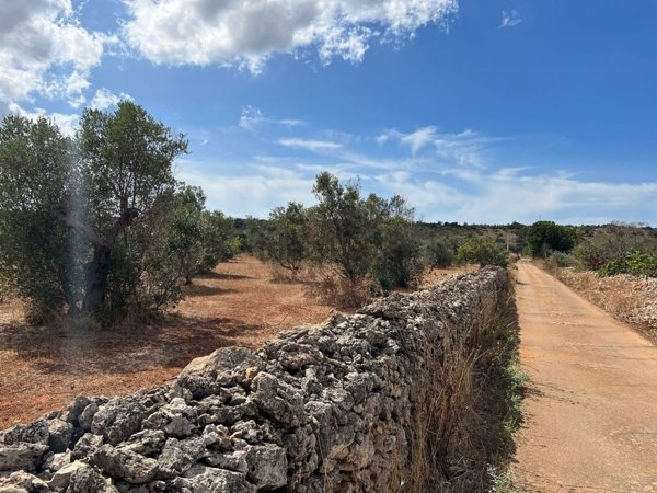 terreno agricolo in vendita a Gallipoli