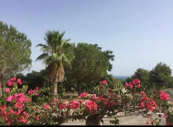 casa indipendente in vendita a Gallipoli