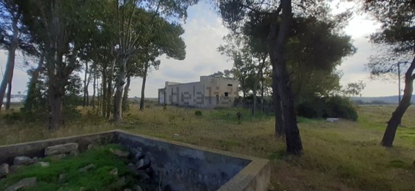 pentavano in vendita a Gallipoli