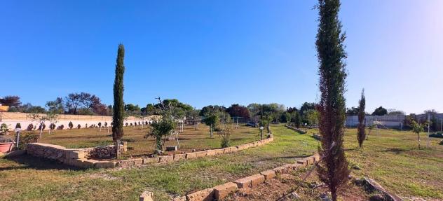 terreno agricolo in vendita a Gallipoli