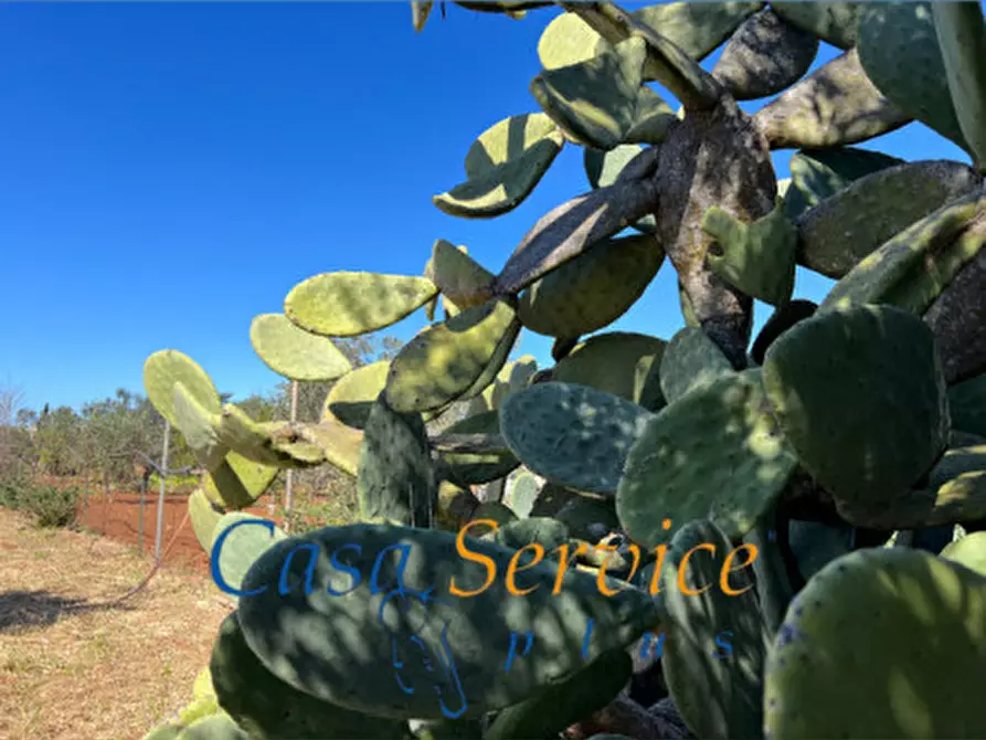 mansarda in vendita a Gallipoli