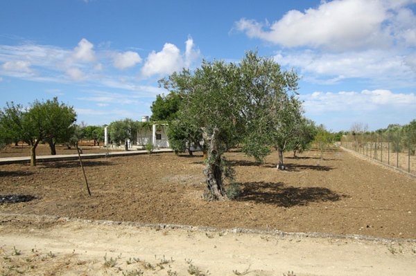 casa indipendente in vendita a Gallipoli