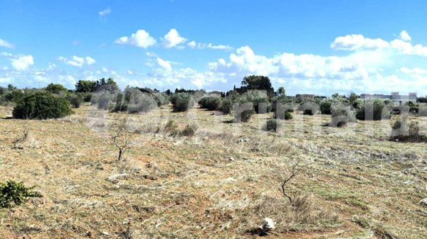 ufficio in vendita a Gallipoli