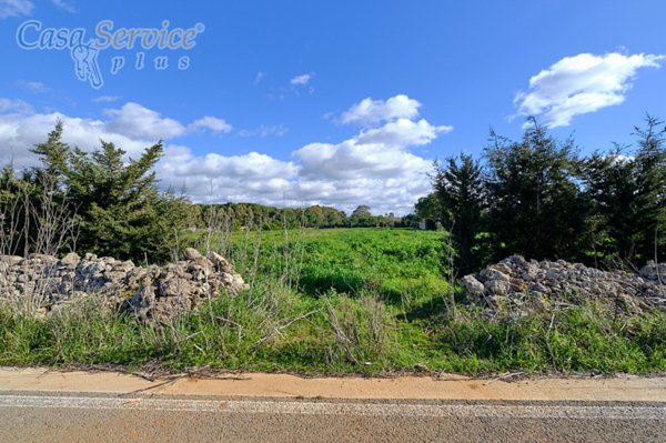azienda agricola in vendita a Gallipoli
