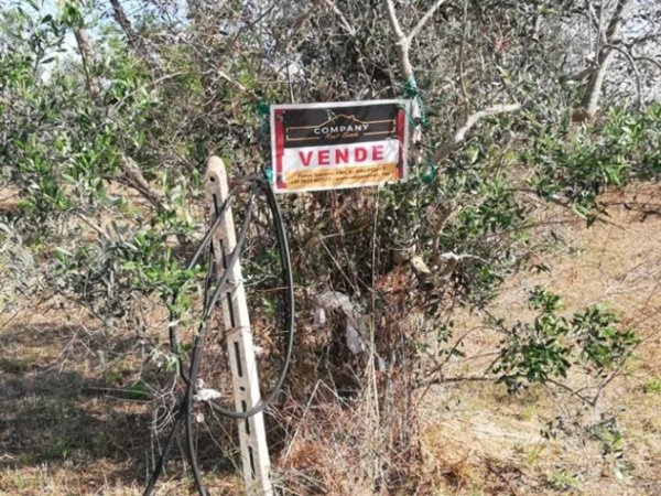 terreno agricolo in vendita a Gallipoli