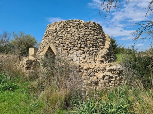 terreno agricolo in vendita a Gallipoli